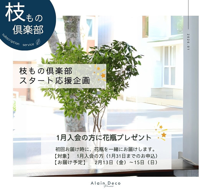 静岡市葵区鷹匠お花屋さんアランデコのアランデコ枝もの倶楽部スタート応援企画１月入会の方に花瓶プレゼント